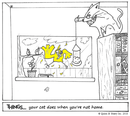THINGS... your cat does when you're not home