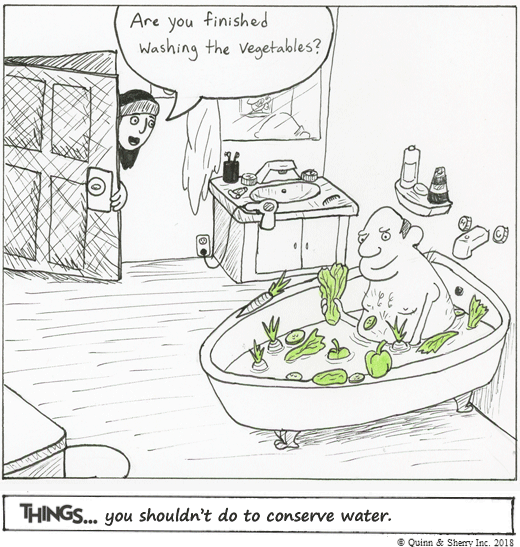THINGS... you shouldn't do to conserve water