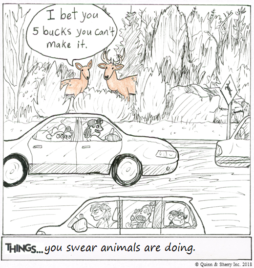 THINGS... you swear animals are doing