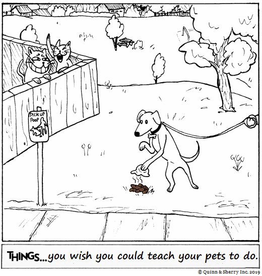 THINGS... you wish you could tach your pets to do