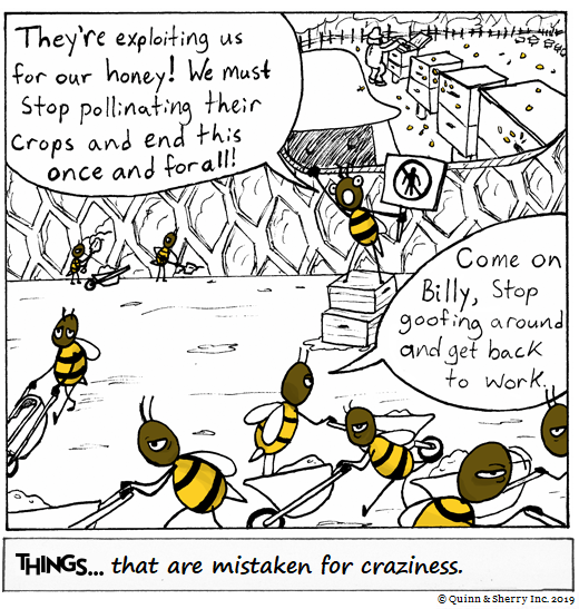 THINGS... that are mistaken for craziness