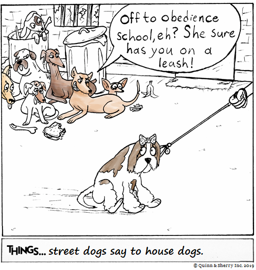 THINGS... street dogs say to house dogs